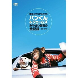 DVD / キッズ / パンくん&ジェームズ みやざわ劇場の全記録 / YZCV-8082