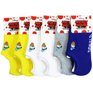 LN^[\bNXhJKIDSZbg (hih) (4FA\[g) (13-18cm) (6Zbg)݂Ƃ߂ւ