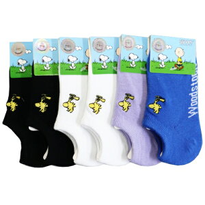 LN^[\bNXhJKIDSZbg (EbhXgbN) (4FA\[g) (13-18cm) (6Zbg)݂Ƃ߂ւ