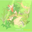 CD / ADAM at / Daylight (歌詞付) / VICL-65515