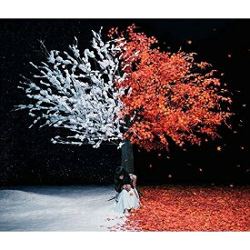 CD / Aimer / 茜さす/everlasting snow (通常盤) / SECL-2070