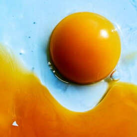 CD / RADWIMPS / あにゅー / UPCH-20702