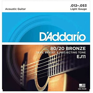D'Addario __I AR[XeBbNM^[ 80/20uY Light .012-.053 EJ11
