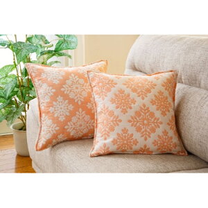 yz K[[ñnCANbVJo[ sN 45×45cmJl^c