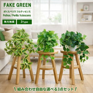 �t�F�C�N�O���[�� �|�g�X 30cm [������/������] �I�ׂ�3�_�Z�b�g �؃����t���e�b�Z���X �����G�}���H�� ���^���� �G�S�} �ϗt�A�� �t�F�C�N ���A�� ���� �C���e���A �l�H�ϗt�A�� ���G�} CT�G