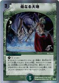 楽天市場 母なる大地の通販