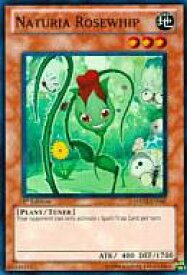 楽天市場 ローズウィップの通販