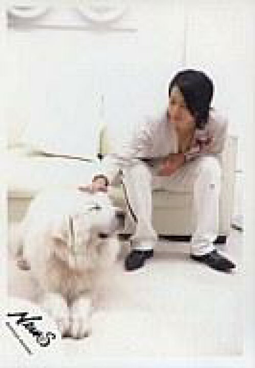 楽天市場 中古 生写真 ジャニーズ アイドル News News 山下智久 ソファ座り 衣装白 犬 公式生写真 ネットショップ駿河屋 楽天市場店