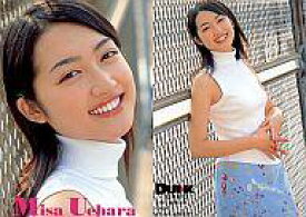 楽天市場 上原美佐 ホビー の通販 楽天市場 上原美佐 ホビー の通販