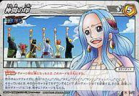 楽天市場 ワンピース 仲間の印の通販