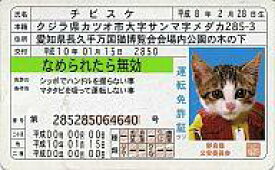 楽天市場 なめ猫 免許証の通販