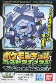 会計士 課す 膜 ポケモン ブラック フリージオ イタリック タックル 相続人