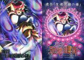 楽天市場 11 冬 アニメの通販