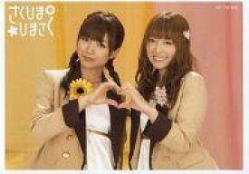 楽天市場 さくひま ひまさく Cdの通販