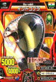 【中古】グレートアニマルカイザー/ノーマル/ファイターカード/ゴッド2弾 今、立ち上がる!鋼鉄の巨人! A-030-2[ノーマル]：インドコブラ