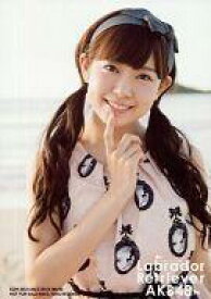 楽天市場 渡辺美優紀 生写真 ラブラドール レトリバーの通販
