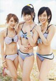 楽天市場 高橋みなみ ラブラドール レトリバー ホビー の通販