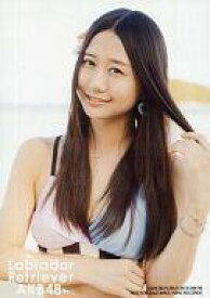 楽天市場 ラブラドールレトリバー古畑奈和の通販