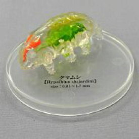 楽天市場 不思議生物大百科 微生物の通販