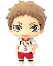 楽天市場 カラコレ ハイキューの通販