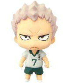 楽天市場 ハイキュー カラコレの通販