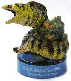 楽天市場 新江ノ島水族館 ボトルキャップ コレクション ホビーの通販