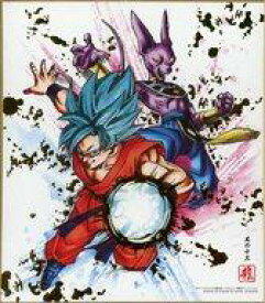 楽天市場 ドラゴンボール 色紙art 9 シークレットの通販