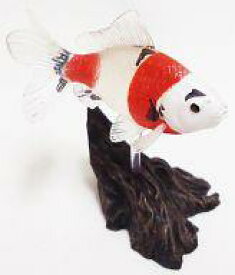 楽天市場 原色観賞魚図鑑の通販