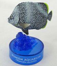 【中古】ペットボトルキャップ ユウゼン 「すみだ水族館 フィギュアコレクション」