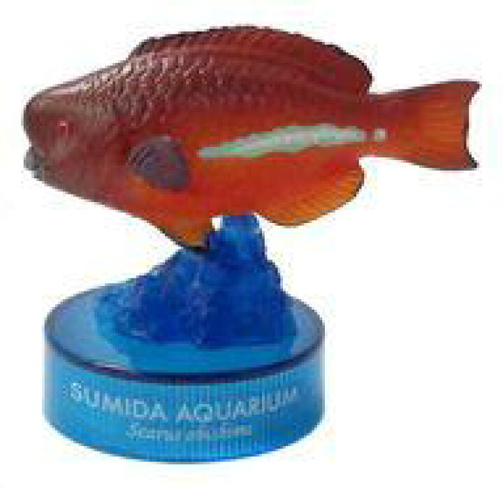 楽天市場 中古 ペットボトルキャップ オビシメ メス すみだ水族館 フィギュアコレクション ネットショップ駿河屋 楽天市場店