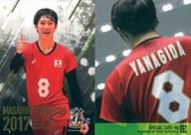 楽天市場 バレー 柳田の通販