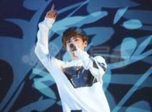 yVizʐ^(j)/ACh/-Xfs(ANX) -Xfs(ANX)/y/06640/g[i[/ʐ^