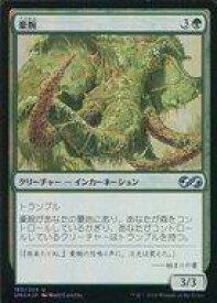 【中古】マジックザギャザリング/日本語版FOIL/U/アルティメットマスターズ 160/254[U]：【FOIL】豪腕/Brawn