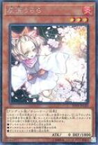 楽天市場】20th-jpc85の通販