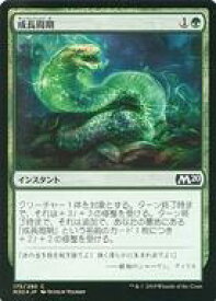 【中古】マジックザギャザリング/日本語版FOIL/C/基本セット2020/緑 [C]：【FOIL】成長周期/Growth Cycle