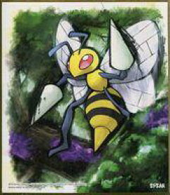 楽天市場 ポケモン 色紙artの通販