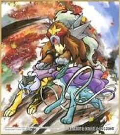 楽天市場 ポケットモンスター エンテイの通販