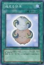 楽天市場】迷える 遊戯王の通販