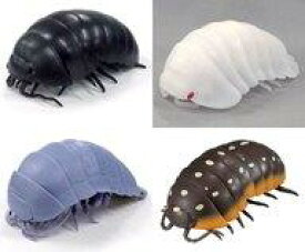 楽天市場 ダンゴムシ カプセルの通販