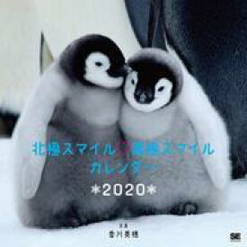 ホッキョクグマの親子やペンギンの子ども 北極圏 南極圏に暮らす動物の写真集が癒し度100 ねとらぼ