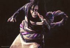 楽天市場 ライブ スペクタクル Naruto ナルト 暁の調べ 19 テーマ コレクションアイテム 芸能人 タレント の通販