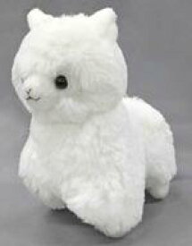 楽天市場 アミューズ アルパカッソの通販