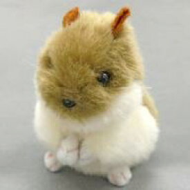 楽天市場 夢ハムスター おもちゃの通販