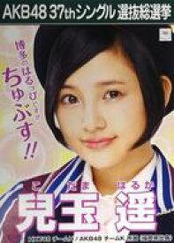 楽天市場 Akb48 選抜総選挙 ポスターの通販 楽天市場 Akb48 選抜総選挙 ポスターの通販