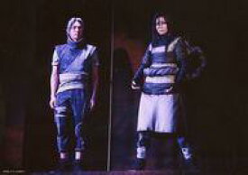 楽天市場 大蛇丸 ホビー の通販