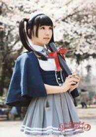 楽天市場 コヒメ リト プッチの通販