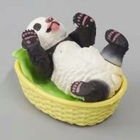 楽天市場 子 パンダ 日和 2の通販