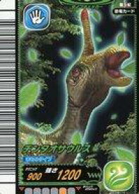 【中古】恐竜キング/第5紀 024：チンタオサウルス