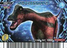 楽天市場 恐竜 キング カードの通販 楽天市場 恐竜 キング カードの通販