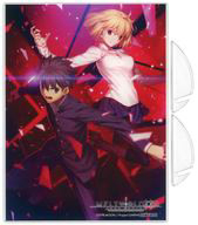 楽天市場 中古 雑貨 遠野志貴 アルクェイド メインビジュアルver オリジナルアクリルパネル Ps4 Switchソフト Melty Blood Type Lumina エビテン購入特典 ネットショップ駿河屋 楽天市場店
